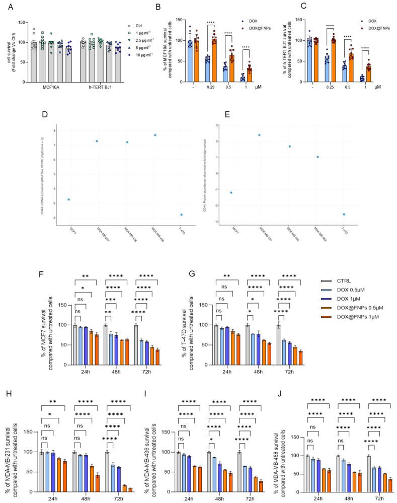 https://cdn.ncbi.nlm.nih.gov/pmc/blobs/64fe/11477043/bdc1c0992f9a/ijms-25-10560-g002.jpg