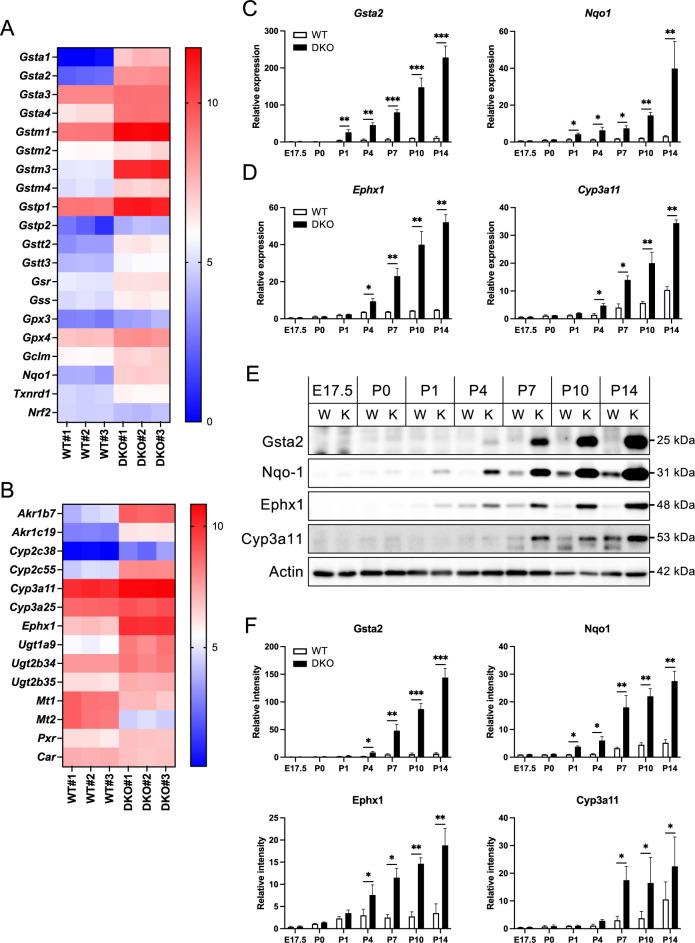 https://cdn.ncbi.nlm.nih.gov/pmc/blobs/64fe/11930773/2046f8cf3f83/csf_49_24046-f002.jpg