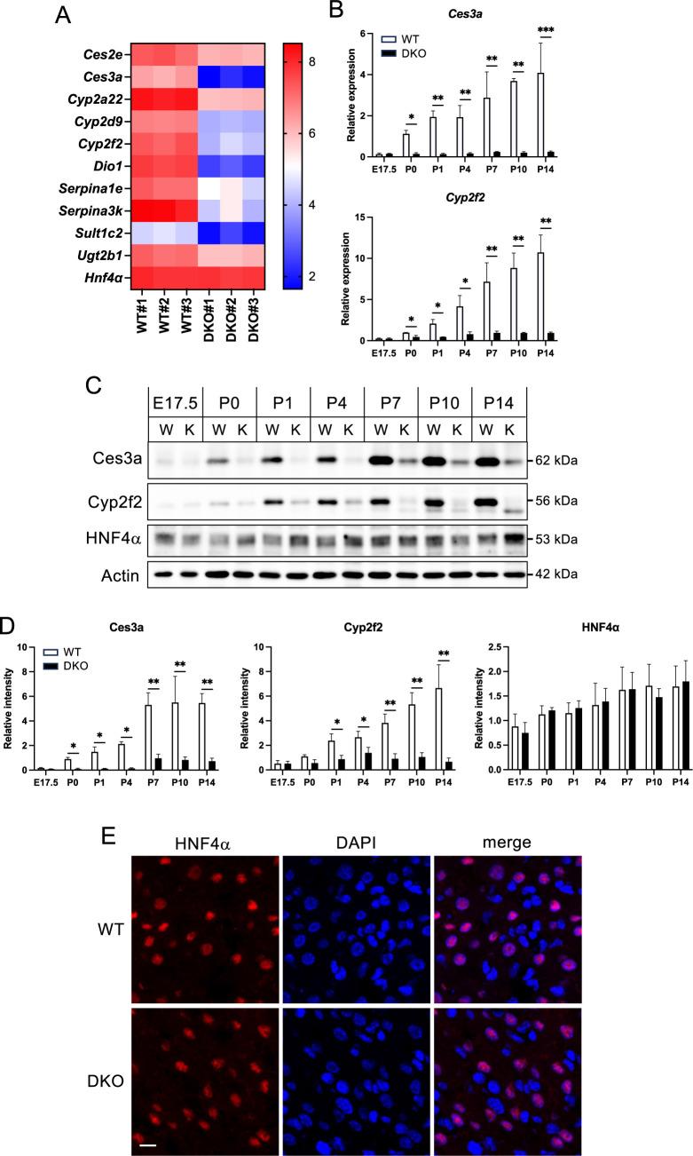 https://cdn.ncbi.nlm.nih.gov/pmc/blobs/64fe/11930773/be963d52c976/csf_49_24046-f004.jpg
