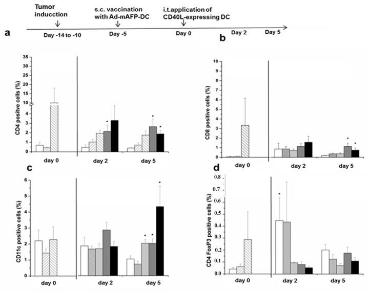 https://cdn.ncbi.nlm.nih.gov/pmc/blobs/64ff/8269346/0d3a41af46e8/cancers-13-03375-g005a.jpg