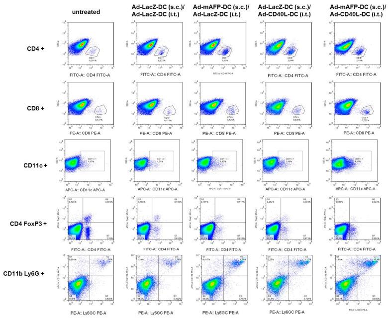 https://cdn.ncbi.nlm.nih.gov/pmc/blobs/64ff/8269346/0f67f89c7797/cancers-13-03375-g006.jpg