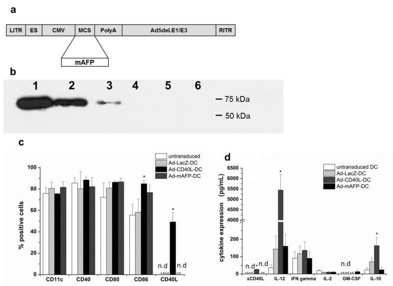 https://cdn.ncbi.nlm.nih.gov/pmc/blobs/64ff/8269346/c0eb4675eb74/cancers-13-03375-g001.jpg