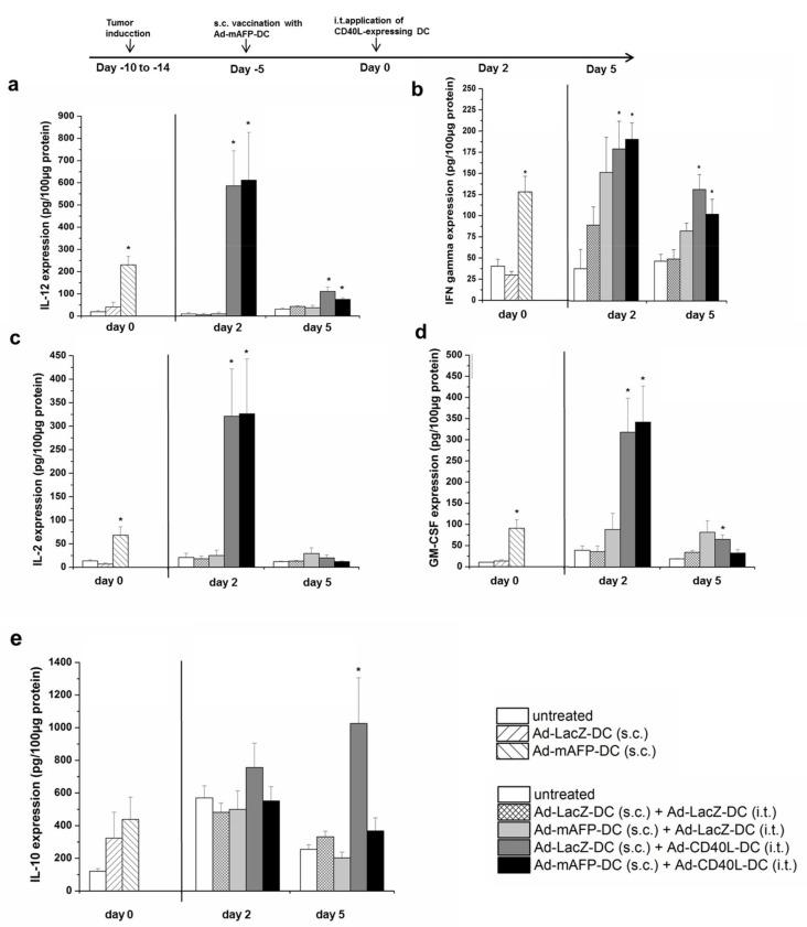 https://cdn.ncbi.nlm.nih.gov/pmc/blobs/64ff/8269346/c6866f3deaa8/cancers-13-03375-g004.jpg