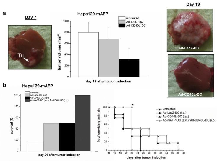 https://cdn.ncbi.nlm.nih.gov/pmc/blobs/64ff/8269346/c72f34d2a8e0/cancers-13-03375-g003.jpg