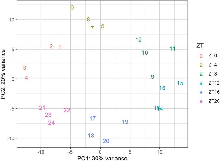 https://cdn.ncbi.nlm.nih.gov/pmc/blobs/6500/10315756/bc9ff20b1a74/FEB4-13-1228-g003.jpg