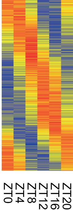 https://cdn.ncbi.nlm.nih.gov/pmc/blobs/6500/10315756/f5af44cc28b4/FEB4-13-1228-g001.jpg