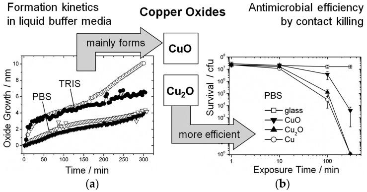 https://cdn.ncbi.nlm.nih.gov/pmc/blobs/6501/5457048/2a638e47a72e/materials-09-00736-g005.jpg