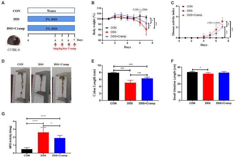 https://cdn.ncbi.nlm.nih.gov/pmc/blobs/6505/10877057/21cf863fa37c/fmicb-15-1306068-g001.jpg