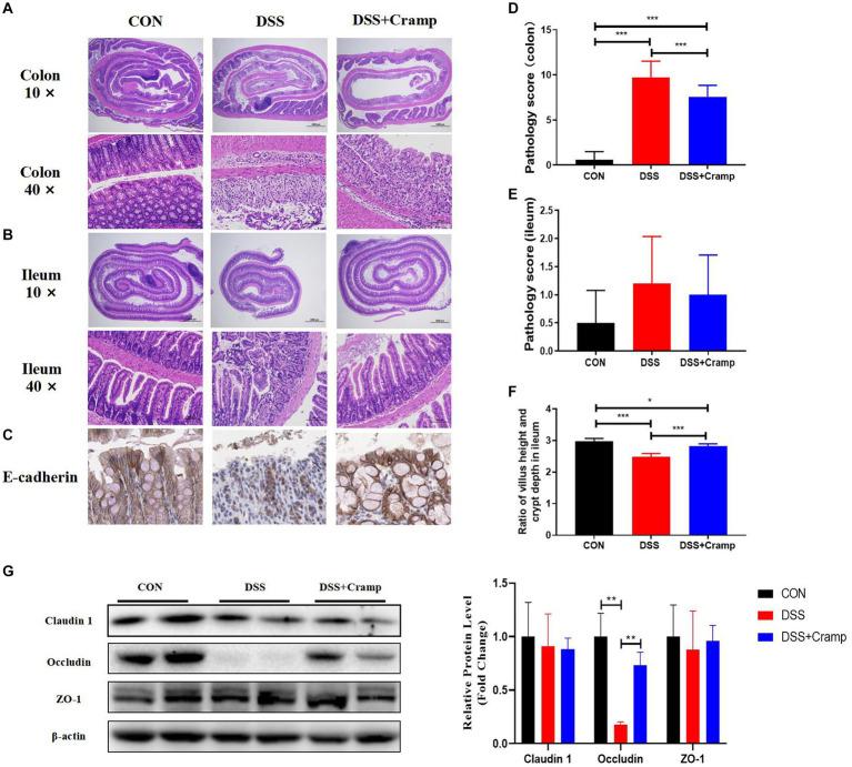 https://cdn.ncbi.nlm.nih.gov/pmc/blobs/6505/10877057/262c49e59490/fmicb-15-1306068-g002.jpg