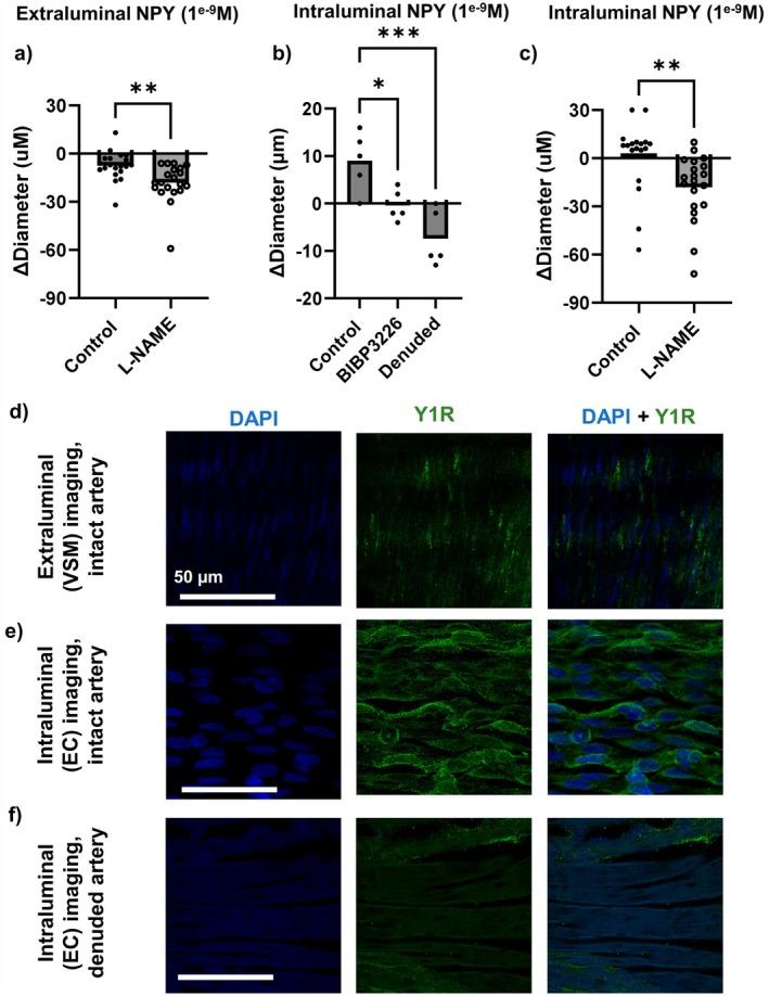 https://cdn.ncbi.nlm.nih.gov/pmc/blobs/6505/12205166/4778b761cc4d/MICC-32-e70016-g003.jpg