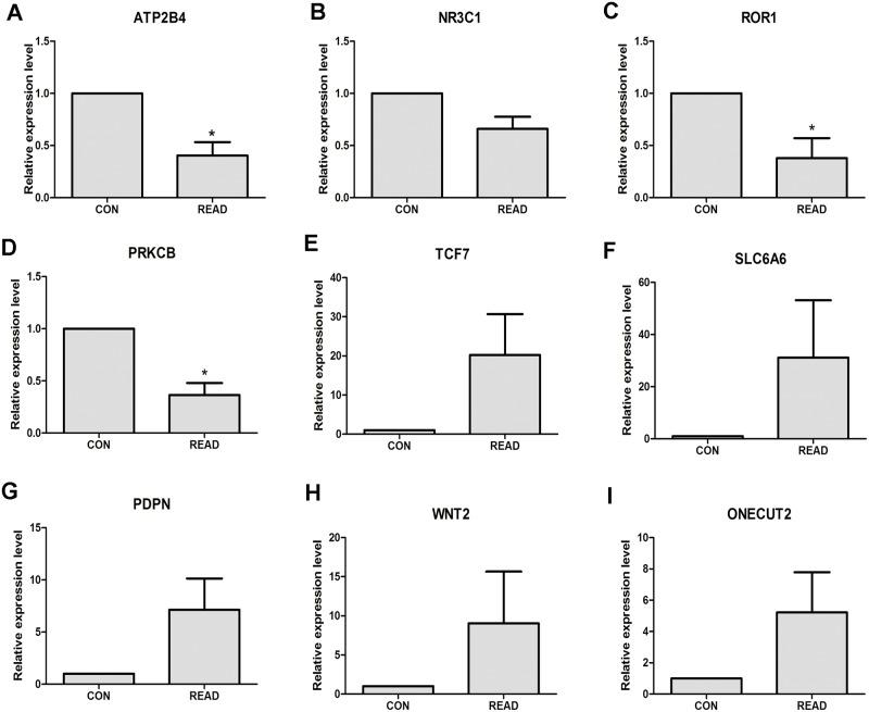 https://cdn.ncbi.nlm.nih.gov/pmc/blobs/6505/5370119/25b1f2b69c5c/pone.0174461.g005.jpg