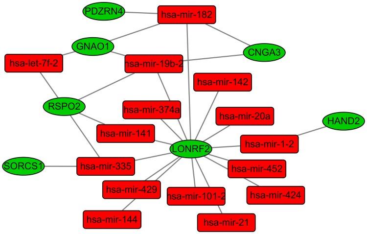 https://cdn.ncbi.nlm.nih.gov/pmc/blobs/6505/5370119/4e7200916169/pone.0174461.g003.jpg