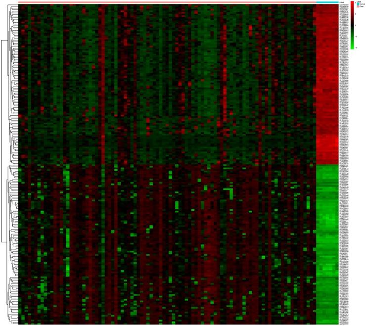 https://cdn.ncbi.nlm.nih.gov/pmc/blobs/6505/5370119/7c0663479e5a/pone.0174461.g002.jpg