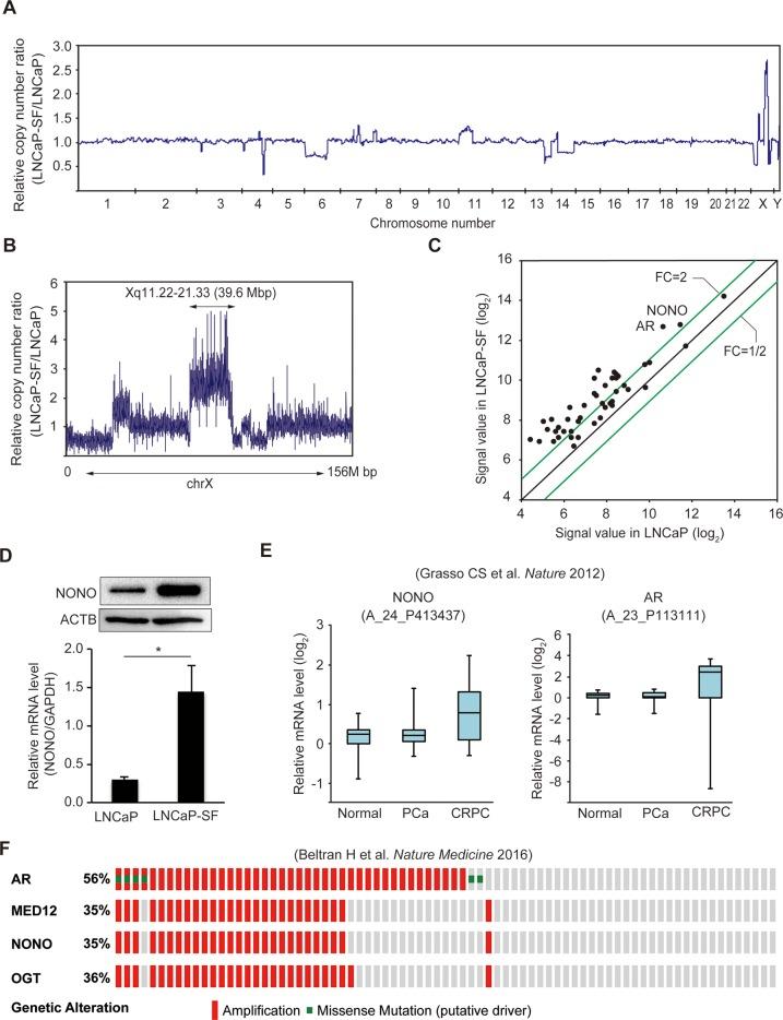 https://cdn.ncbi.nlm.nih.gov/pmc/blobs/6505/5828187/9fdc8fda0d96/oncotarget-09-10510-g002.jpg