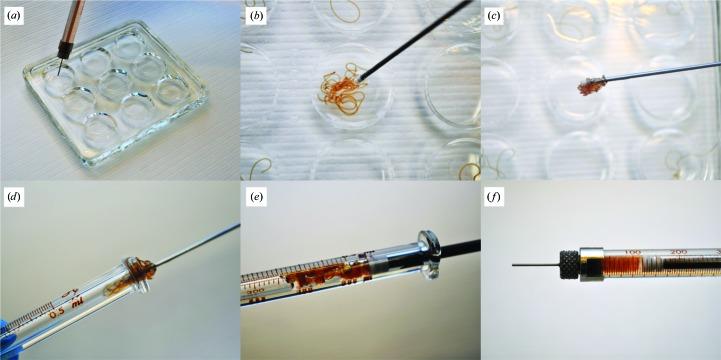 https://cdn.ncbi.nlm.nih.gov/pmc/blobs/6505/6779076/cd92e9d35496/d-75-00937-fig3.jpg