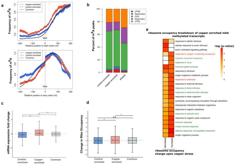 https://cdn.ncbi.nlm.nih.gov/pmc/blobs/6506/10892094/d0e02d050093/ncrna-10-00008-g003.jpg