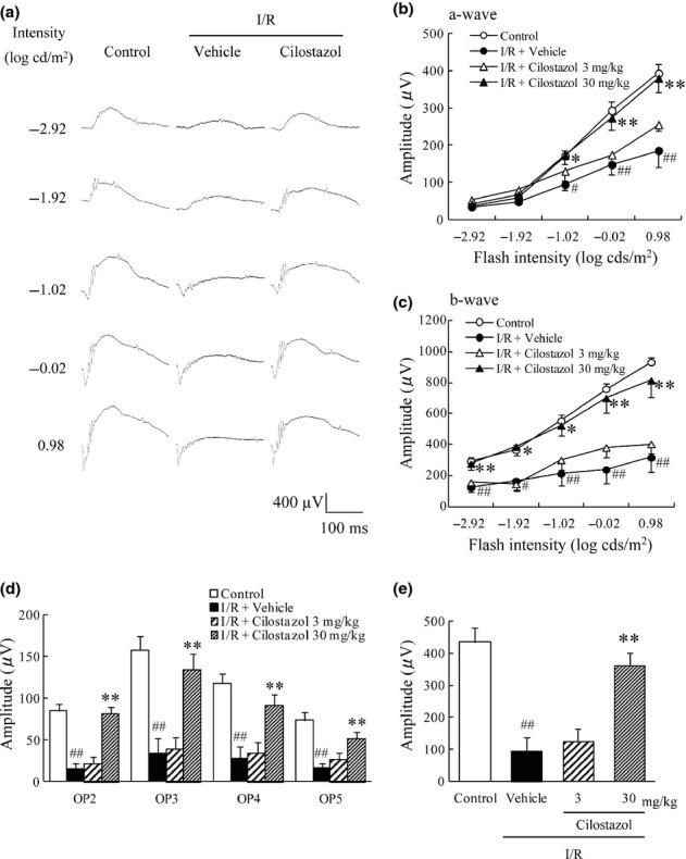 https://cdn.ncbi.nlm.nih.gov/pmc/blobs/6507/4184571/47777812a37a/prp20001-e00006-f3.jpg