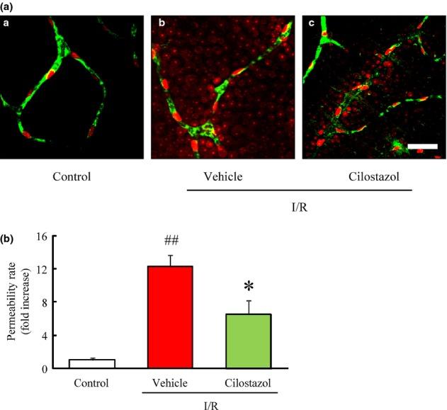 https://cdn.ncbi.nlm.nih.gov/pmc/blobs/6507/4184571/c17785fdb58c/prp20001-e00006-f2.jpg