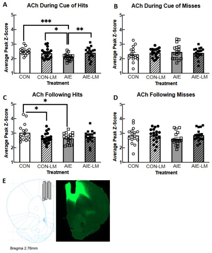 https://cdn.ncbi.nlm.nih.gov/pmc/blobs/6509/11172149/14a3a451b07f/ijms-25-05792-g007.jpg
