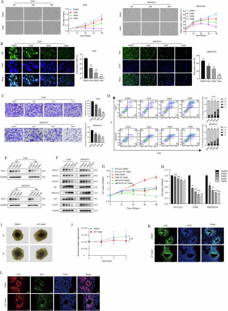 https://cdn.ncbi.nlm.nih.gov/pmc/blobs/6509/11997184/a2d6bd6d6f26/41420_2025_2470_Fig2_HTML.jpg