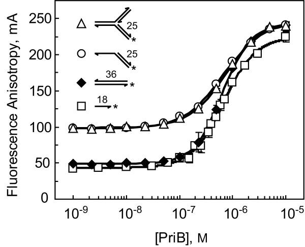 https://cdn.ncbi.nlm.nih.gov/pmc/blobs/6509/3179954/465c62c0ed11/1471-2180-11-189-2.jpg