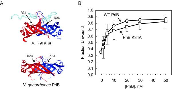 https://cdn.ncbi.nlm.nih.gov/pmc/blobs/6509/3179954/5dfd39472baf/1471-2180-11-189-5.jpg