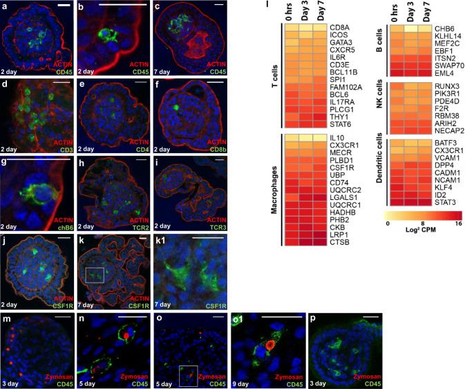 https://cdn.ncbi.nlm.nih.gov/pmc/blobs/6509/7979936/7a2fdda1e68a/42003_2021_1901_Fig6_HTML.jpg