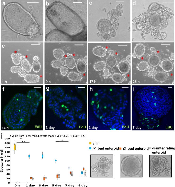 https://cdn.ncbi.nlm.nih.gov/pmc/blobs/6509/7979936/b05d095b7372/42003_2021_1901_Fig1_HTML.jpg