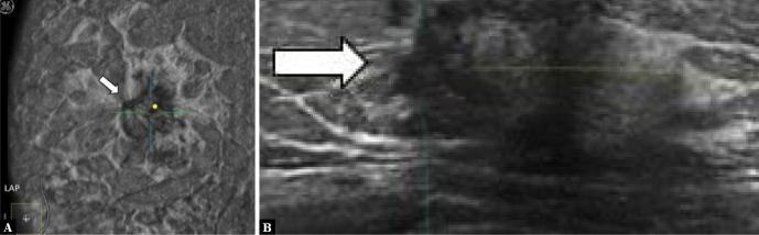 https://cdn.ncbi.nlm.nih.gov/pmc/blobs/6509/9714281/694f656a0954/jou-22-e222-g008.jpg