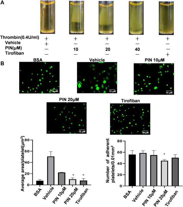 https://cdn.ncbi.nlm.nih.gov/pmc/blobs/650a/8339208/3b67e5d719de/fphar-12-706363-g003.jpg