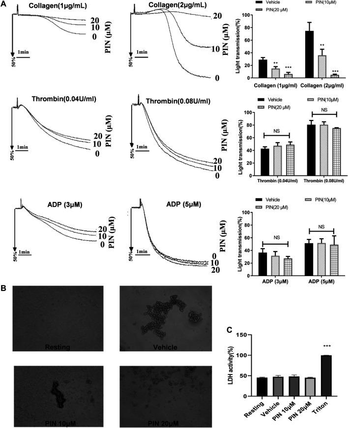 https://cdn.ncbi.nlm.nih.gov/pmc/blobs/650a/8339208/931c887f1192/fphar-12-706363-g001.jpg