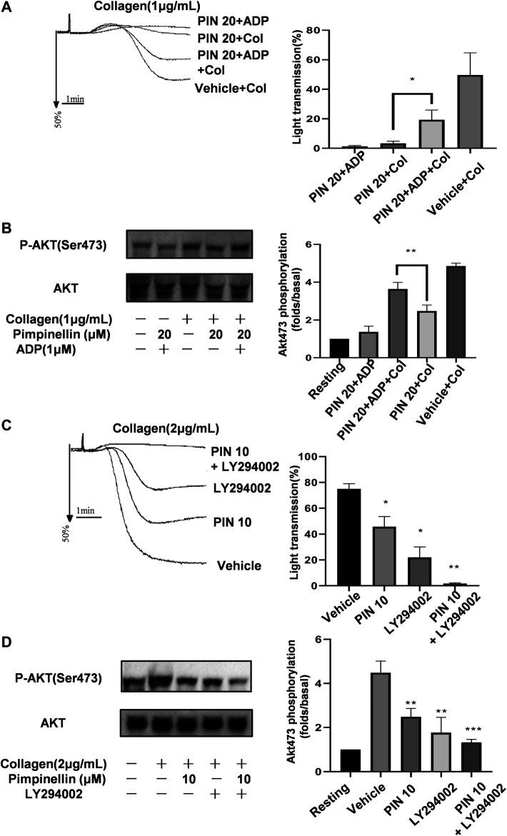 https://cdn.ncbi.nlm.nih.gov/pmc/blobs/650a/8339208/acc266be0083/fphar-12-706363-g006.jpg