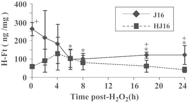 https://cdn.ncbi.nlm.nih.gov/pmc/blobs/650b/4046229/660b85453c32/gr7.jpg