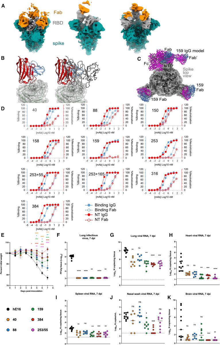 https://cdn.ncbi.nlm.nih.gov/pmc/blobs/650b/8054860/1ea4fd5de338/gr7.jpg