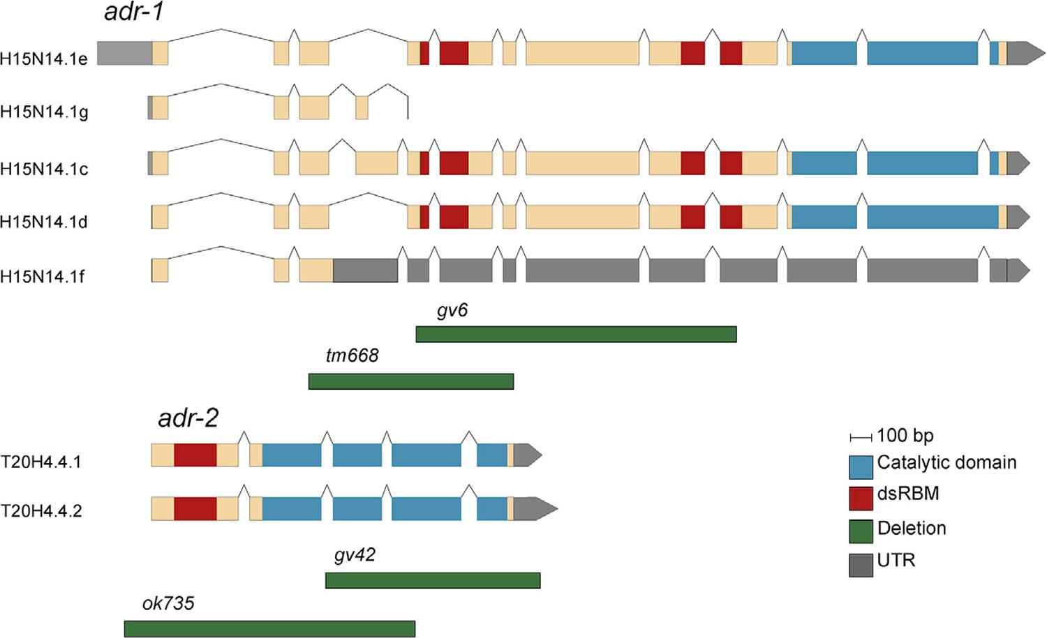 https://cdn.ncbi.nlm.nih.gov/pmc/blobs/650c/8139731/734039dc8dc1/nihms-1527718-f0002.jpg