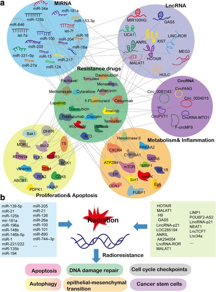 https://cdn.ncbi.nlm.nih.gov/pmc/blobs/650d/6556047/0ea8f43618f9/13045_2019_748_Fig2_HTML.jpg