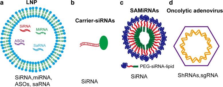 https://cdn.ncbi.nlm.nih.gov/pmc/blobs/650d/6556047/5911a03cf7b9/13045_2019_748_Fig4_HTML.jpg