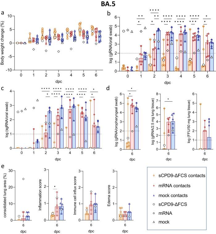 https://cdn.ncbi.nlm.nih.gov/pmc/blobs/650e/10837132/8e423ea3c396/41467_2024_45348_Fig7_HTML.jpg