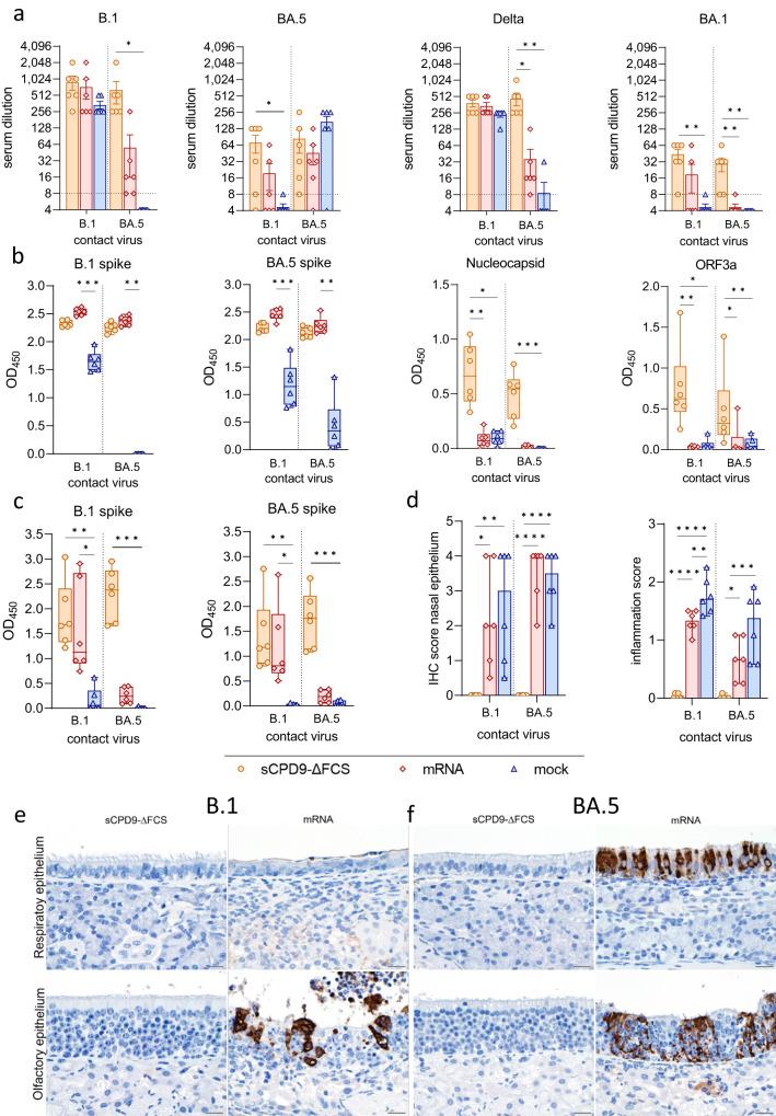https://cdn.ncbi.nlm.nih.gov/pmc/blobs/650e/10837132/92ae01bace17/41467_2024_45348_Fig4_HTML.jpg