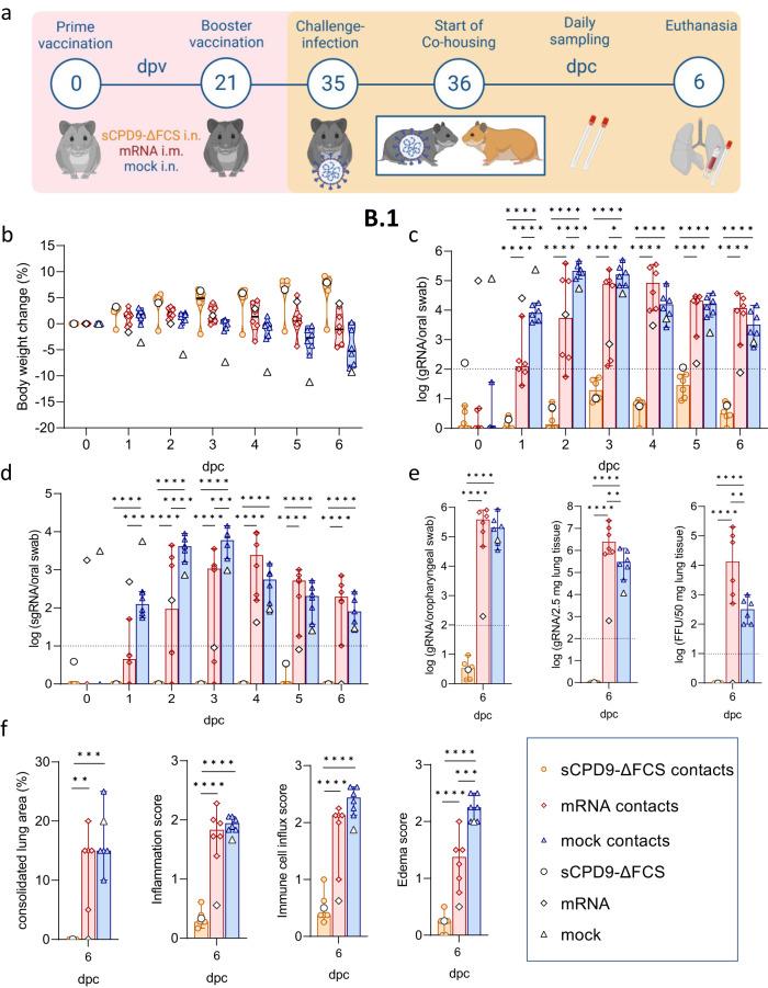 https://cdn.ncbi.nlm.nih.gov/pmc/blobs/650e/10837132/9927db5ab3a2/41467_2024_45348_Fig5_HTML.jpg