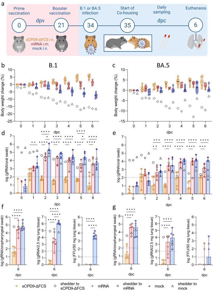 https://cdn.ncbi.nlm.nih.gov/pmc/blobs/650e/10837132/bf8e2ef7ad49/41467_2024_45348_Fig1_HTML.jpg