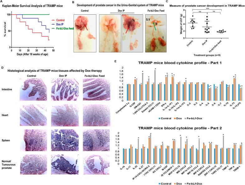 https://cdn.ncbi.nlm.nih.gov/pmc/blobs/650e/5005995/1aae90259bd0/srep32062-f6.jpg