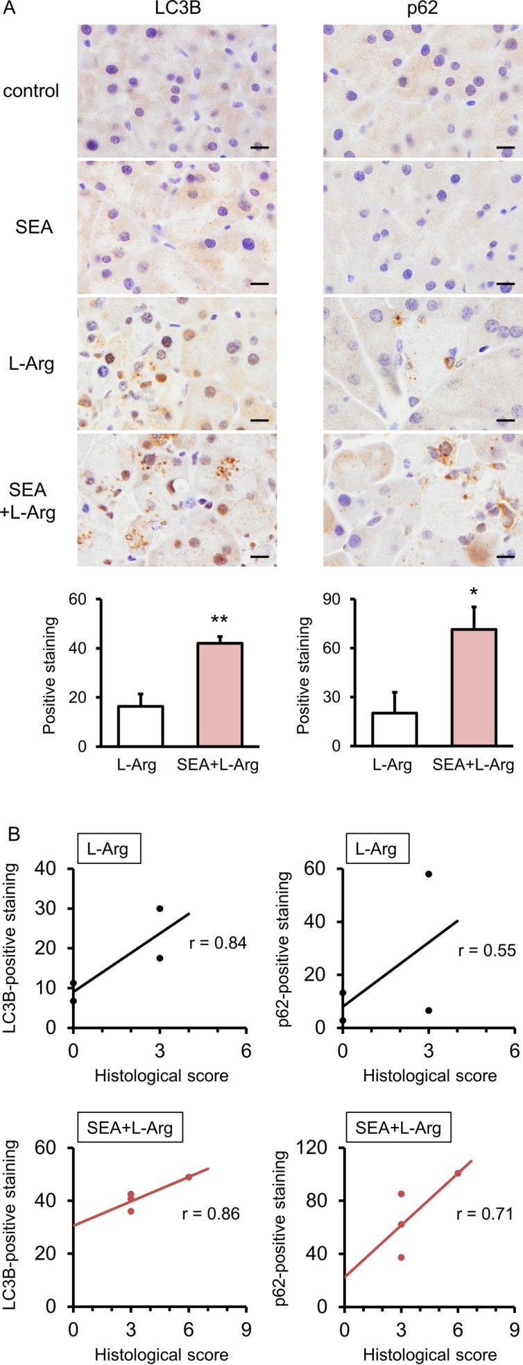 https://cdn.ncbi.nlm.nih.gov/pmc/blobs/6513/10315542/2178b019d465/jvms-85-657-g004.jpg