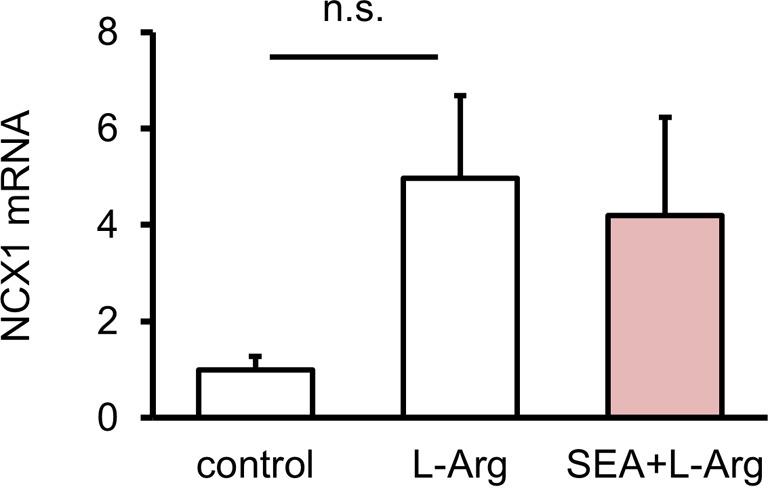 https://cdn.ncbi.nlm.nih.gov/pmc/blobs/6513/10315542/5caca13a8211/jvms-85-657-g005.jpg