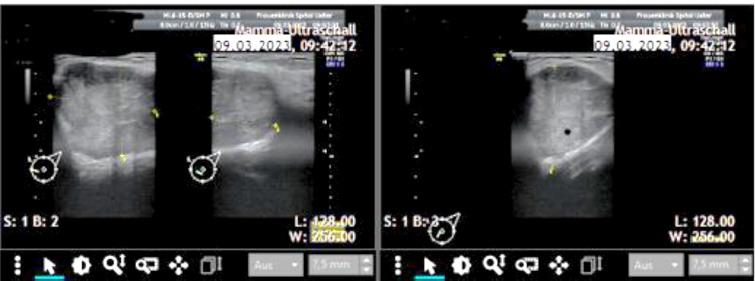 https://cdn.ncbi.nlm.nih.gov/pmc/blobs/6517/12239182/935ce9e7e83b/amed-32-190-g002.jpg