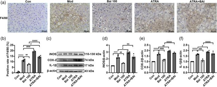 https://cdn.ncbi.nlm.nih.gov/pmc/blobs/651b/12013857/257eda7883c2/PTR-39-1663-g001.jpg