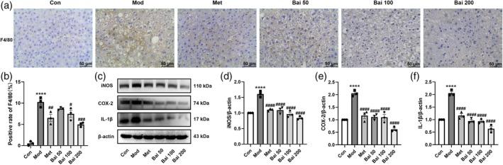 https://cdn.ncbi.nlm.nih.gov/pmc/blobs/651b/12013857/65e72ff12f88/PTR-39-1663-g003.jpg