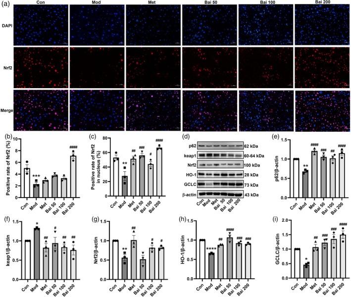 https://cdn.ncbi.nlm.nih.gov/pmc/blobs/651b/12013857/93cdab5b2b99/PTR-39-1663-g002.jpg