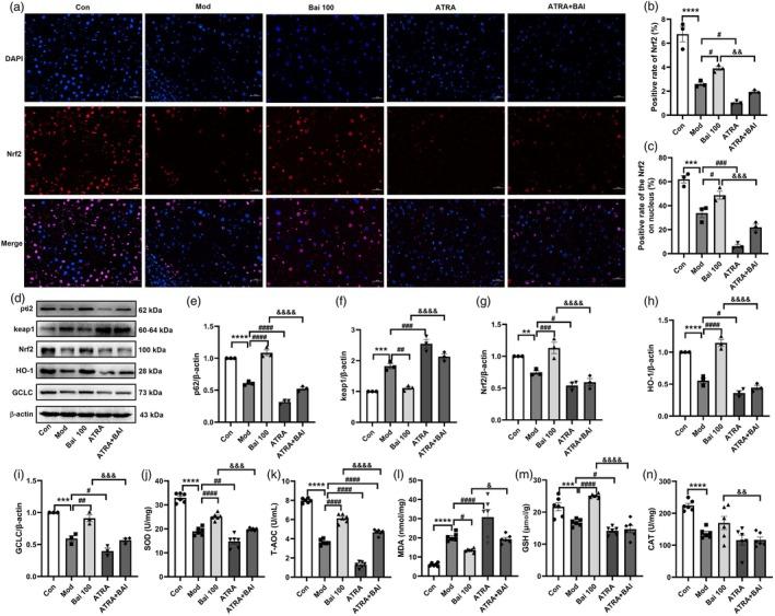 https://cdn.ncbi.nlm.nih.gov/pmc/blobs/651b/12013857/c1006febc361/PTR-39-1663-g005.jpg