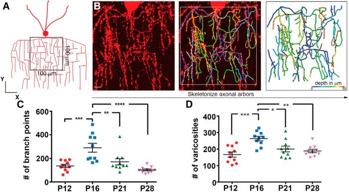 https://cdn.ncbi.nlm.nih.gov/pmc/blobs/651e/5458751/5a0cbd403418/enu0031723090002.jpg